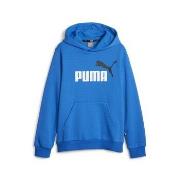 Sweater Puma ESS 2 COL BIG LOGO HOODIE FL B