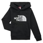 Sweater The North Face Boys Drew Peak P/O Hoodie