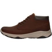 Lage Sneakers IgI&amp;CO 8119511