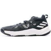 Basketbalschoenen adidas -