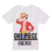 T-shirt Korte Mouw Name it NKMNATE ONEPIECE SS TOP BOX VDE