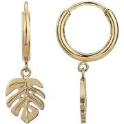 Oorbellen Phebus Boucles d'oreilles Femme