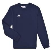 Sweater adidas ENT22 SW TOPY