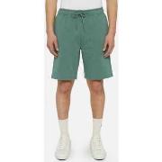 Korte Broek Dickies Mapleton short