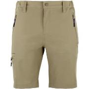 Korte Broek Peak Mountain Short de randonnée homme CESSOR