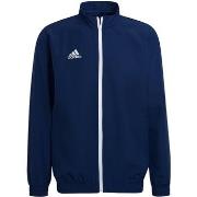 Blazer adidas Ent22 Pre Jkt