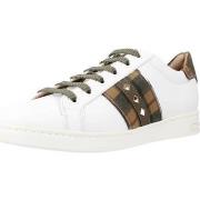 Sneakers Geox D JAYSEN C