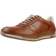 Nette schoenen Fluchos F1188