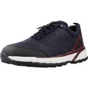 Sneakers Geox U STERRATO B ABX