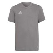 T-shirt Korte Mouw adidas HC0444