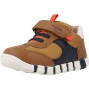 Sneakers Geox B IUPIDOO