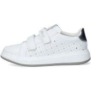 Sneakers Balducci -