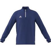 Sweater adidas H57516