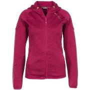 Fleece Jack Peak Mountain Blouson polaire femme ATORA