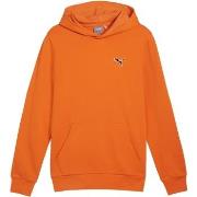 Sweater Puma 240872