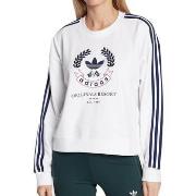 Sweater adidas -