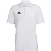 T-shirt adidas -