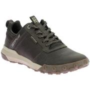 Lage Sneakers Caterpillar Hex Ready Low W