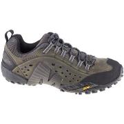 Wandelschoenen Merrell Intercept