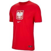 T-shirt Korte Mouw Nike Poland Evergreen Crest Tee