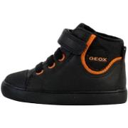 Hoge Sneakers Geox 244316