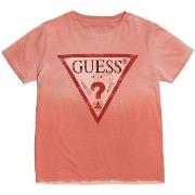 Top Guess 29159