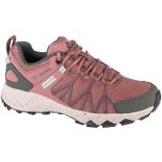 Wandelschoenen Columbia Peakfreak II Outdry