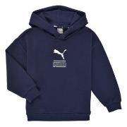 Sweater Puma ALPHA HOODIE