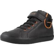 Sneakers Geox J GISLI