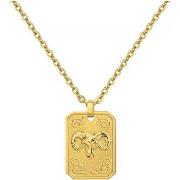 Ketting Phebus Collier Homme