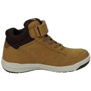 Lage Sneakers Joma -