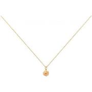 Ketting Phebus Collier Femme