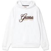 Sweater Guess -