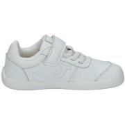 Lage Sneakers Joma -