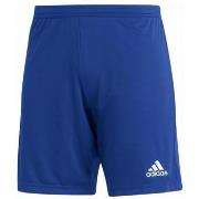 Korte Broek adidas -