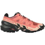 Wandelschoenen Salomon Speedcross 6 W