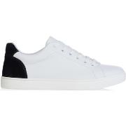 Sneakers D&amp;G CS1640 B5704