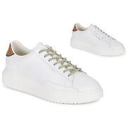 Lage Sneakers Serafini ROGER 2