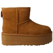 Enkellaarzen UGG -