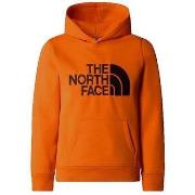 Trui The North Face Drew Peak P/O