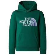 Trui The North Face Drew Peak P/O