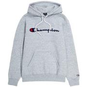 Sweater Champion -