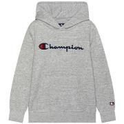 Sweater Champion -