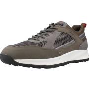 Sneakers Geox U TERRESTRE