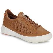 Lage Sneakers Palladium PALLANOVA LTH