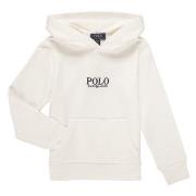 Sweater Polo Ralph Lauren PO HOOD-KNIT SHIRTS-SWEATSHIRT