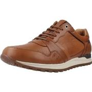 Sneakers Kangaroos K843