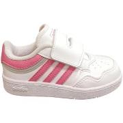 Sneakers adidas hoops