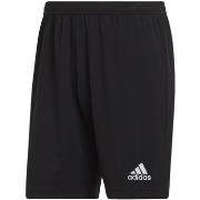 Korte Broek adidas adidas Entrada 22 Shorts