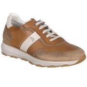 Sneakers Fluchos BASKETS F2083